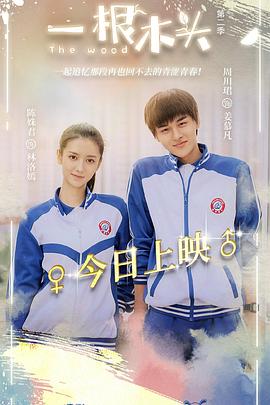 一根木头第二季第12集(大结局)