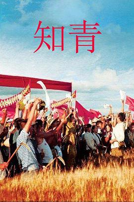 知青2012第22集