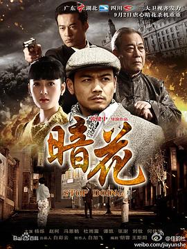 暗花2012第15集