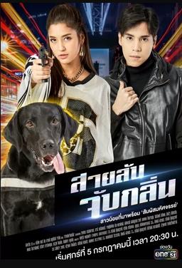 侦探K9普国语第09集