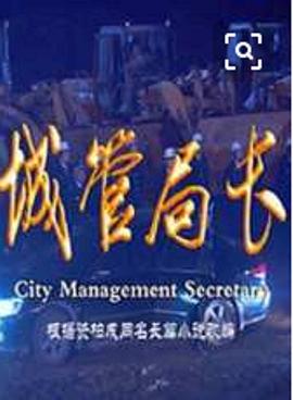 城管局长第12集