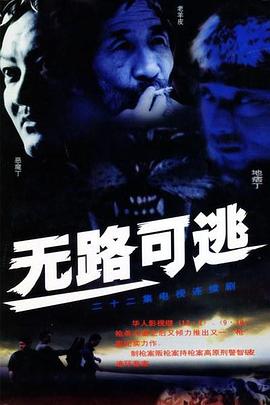 无路可逃2004第03集