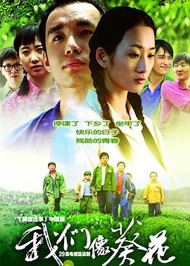 我们像葵花第11集