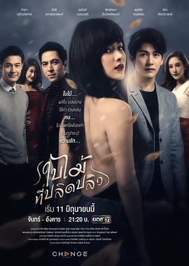 吹落的树叶第09集