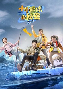 小小追球的秘密第20集