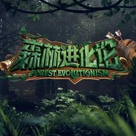 森林进化论第20230815期