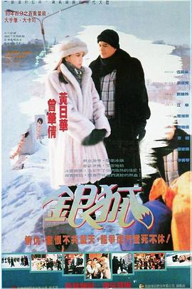 银狐粤语第12集