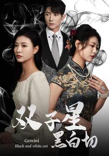 双子星黑白切第04集