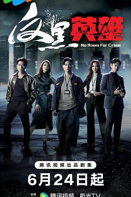 反黑英雄国语第18集