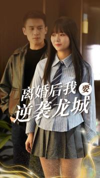 离婚后我要逆袭龙城第23集
