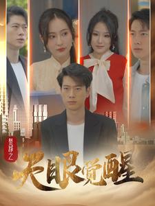 赘婿之天眼觉醒第71集