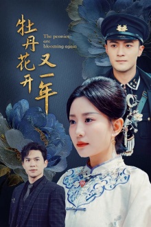 牡丹花开又一年第30集