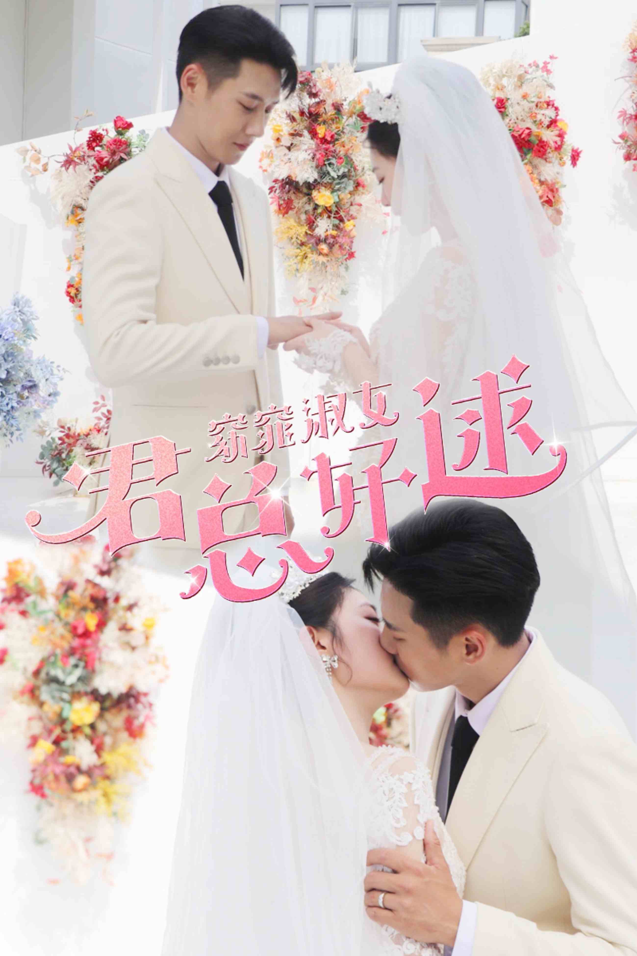 窈窕淑女君总好逑第39集