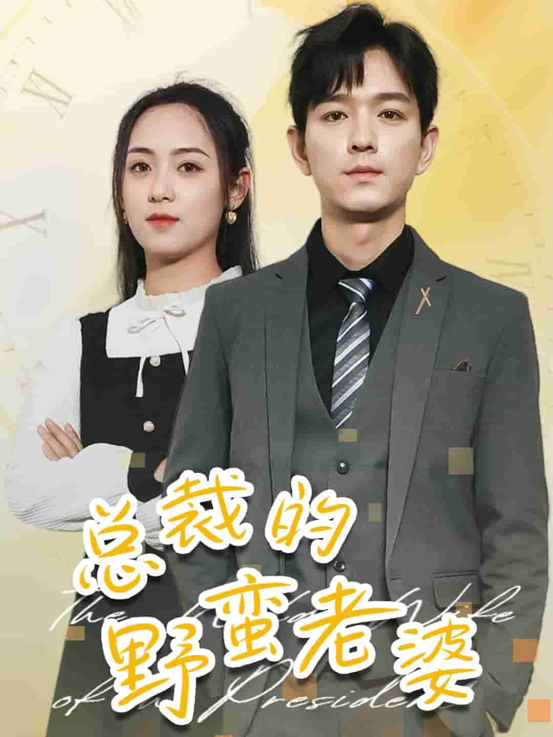 总裁的野蛮老婆第07集
