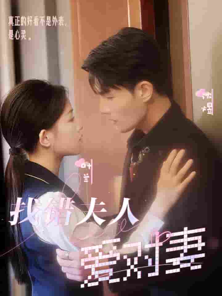 找错夫人爱对妻第04集