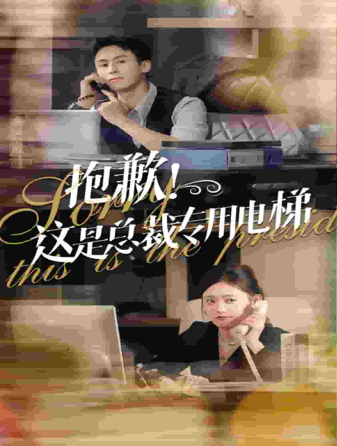 抱歉这是总裁专用电梯第51集