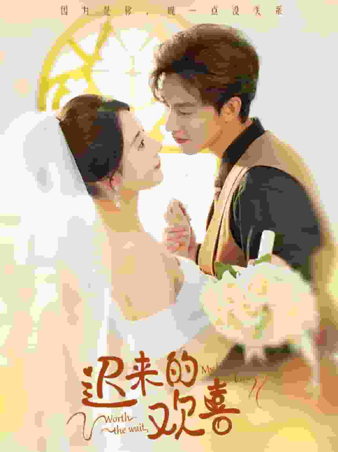 迟来的欢喜第21集