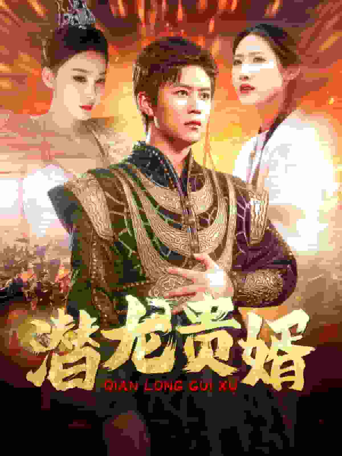 潜龙贵婿第30集