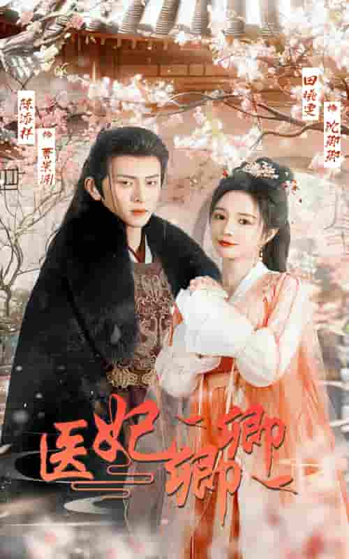 医妃卿卿第63集