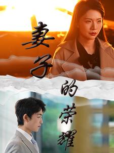 妻子的荣耀第26集