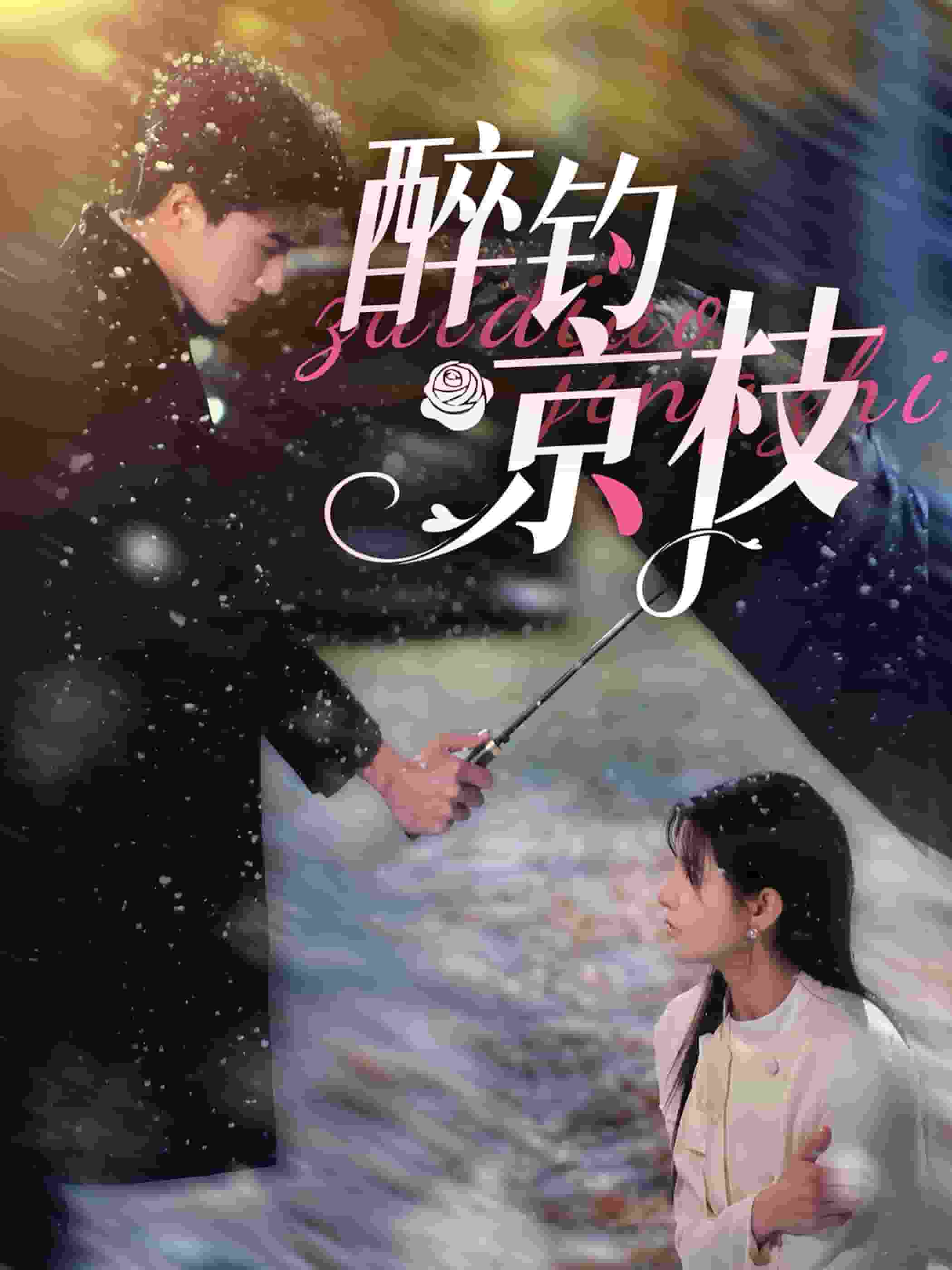 醉钓京枝第13集