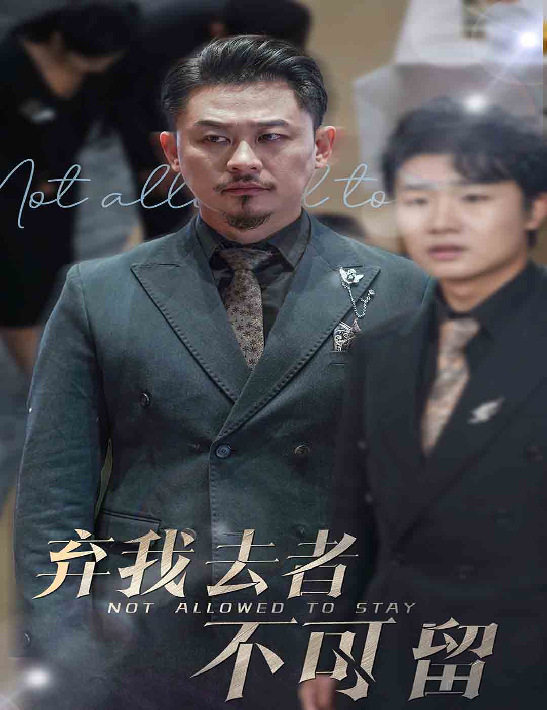 弃我去者不可留第41集