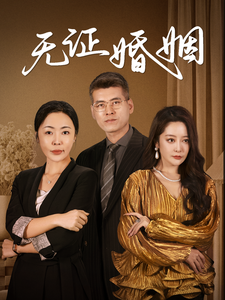 无证婚姻第25集