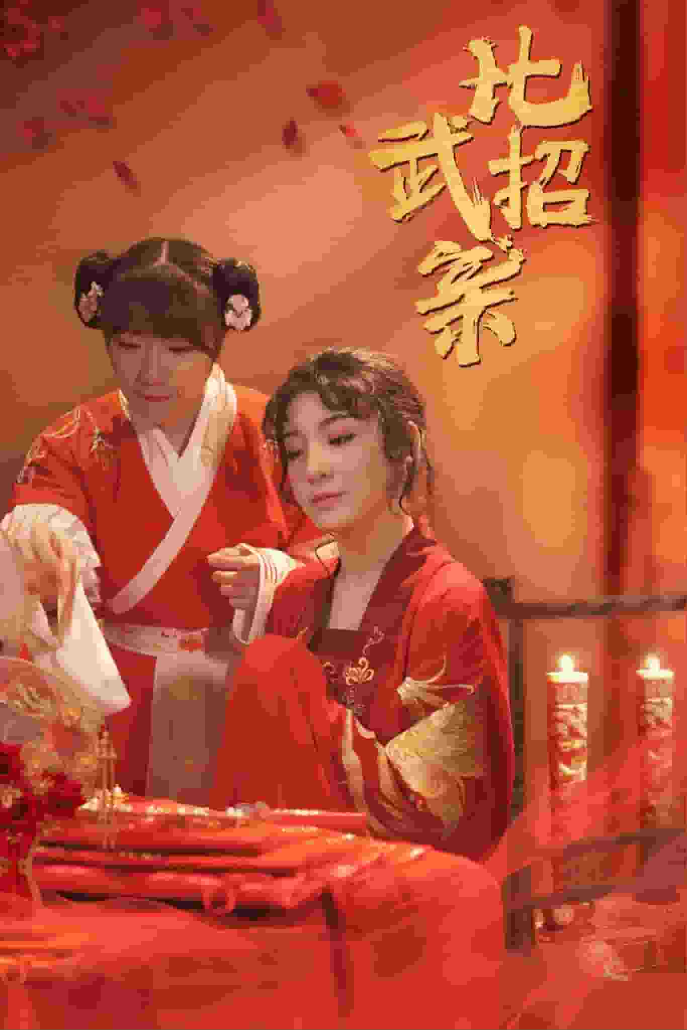比武招亲第21集