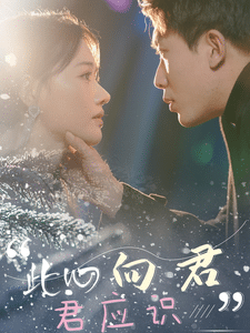 此心向君君应识第39集