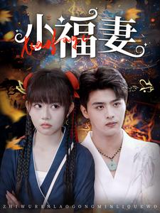 小福妻第29集