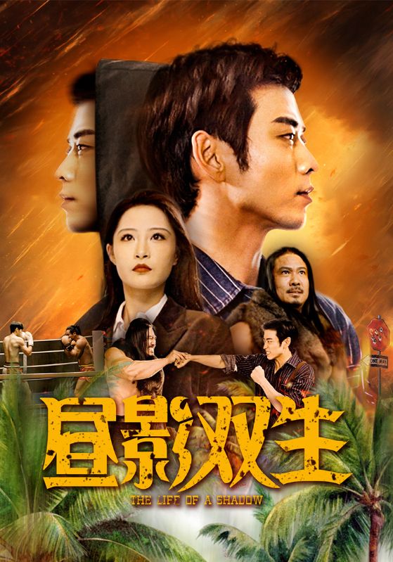 昼影双生第39集