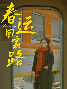 春运回家路第3集