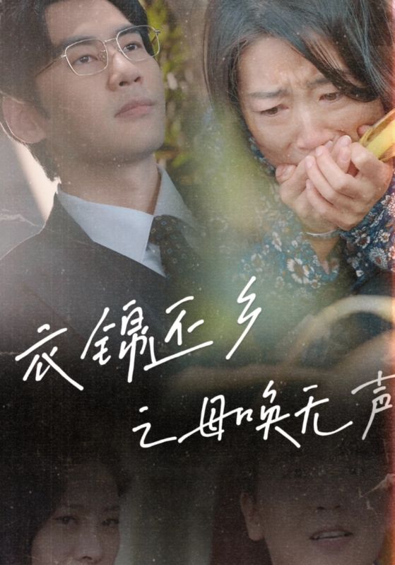 衣锦还乡之母唤无声第39集