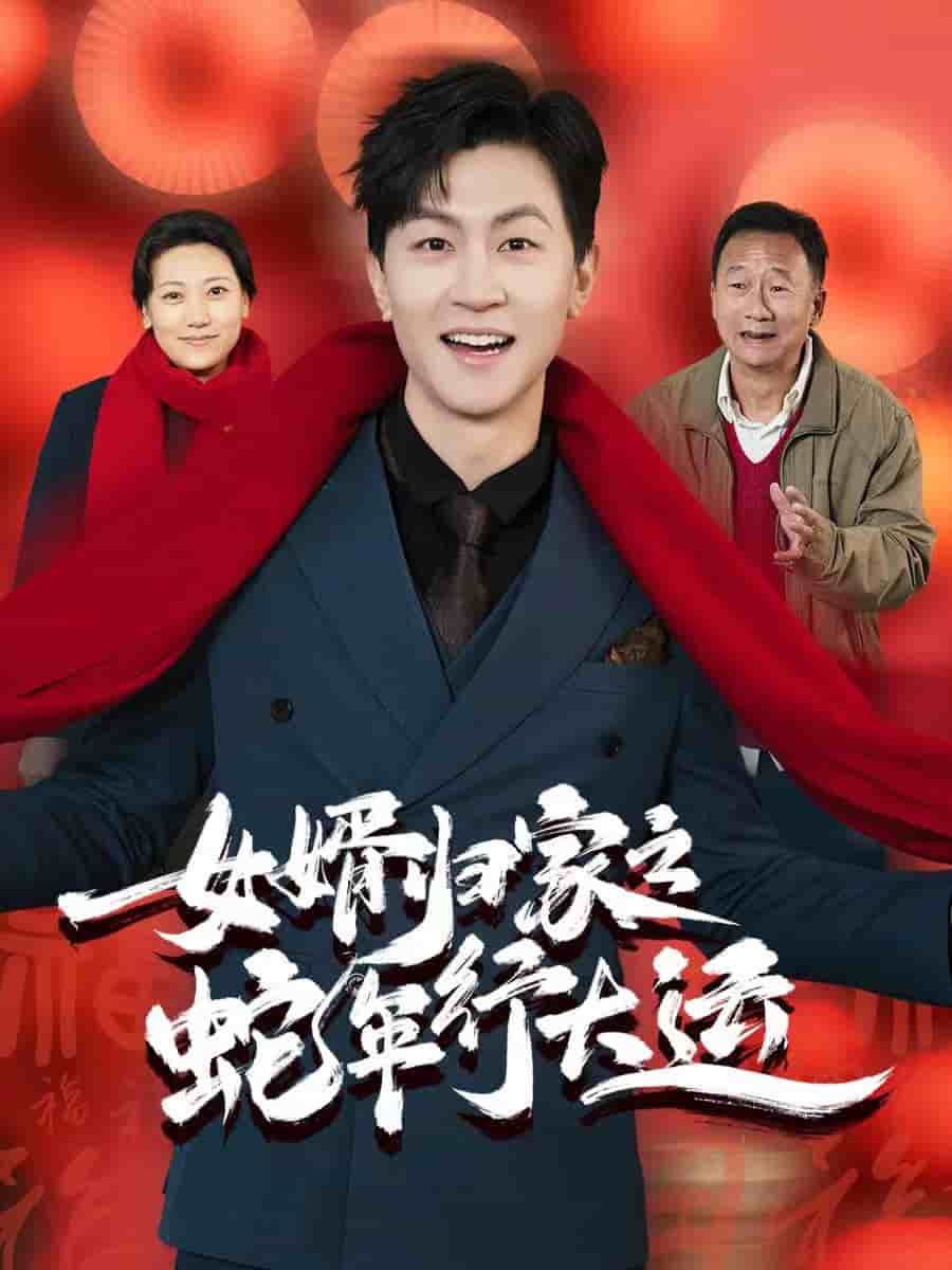 女婿归家之蛇年行大运第38集