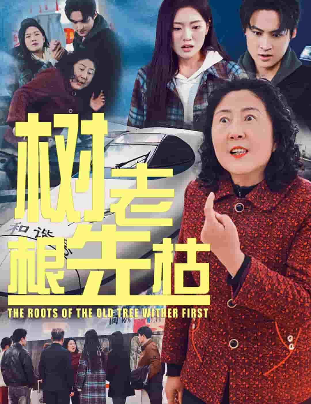 树老根先枯第14集