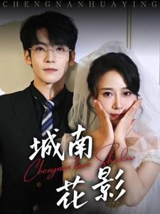 城南花影第39集