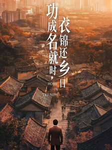 功成名就时衣锦还乡日第51集