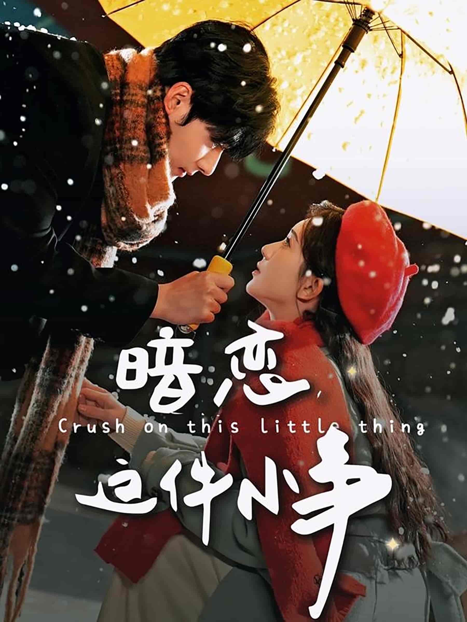 暗恋这件小事第22集