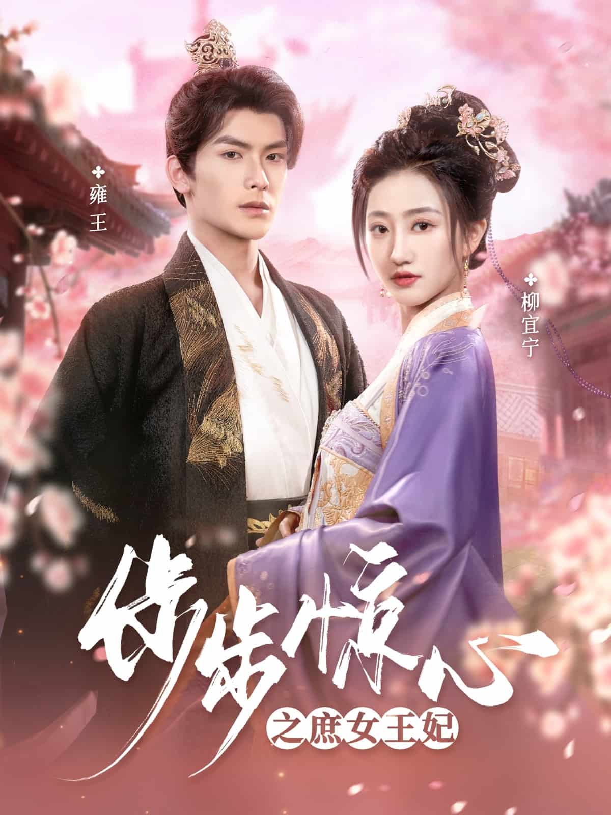 步步惊心之庶女王妃第40集