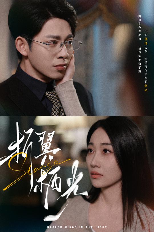 折翼栖光第34集