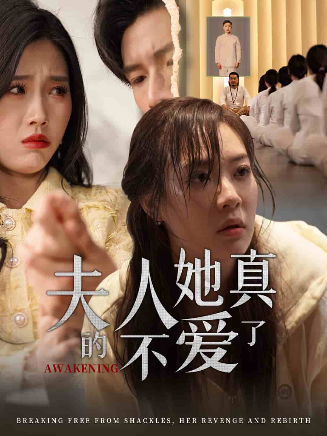 夫人她真的不爱了第38集