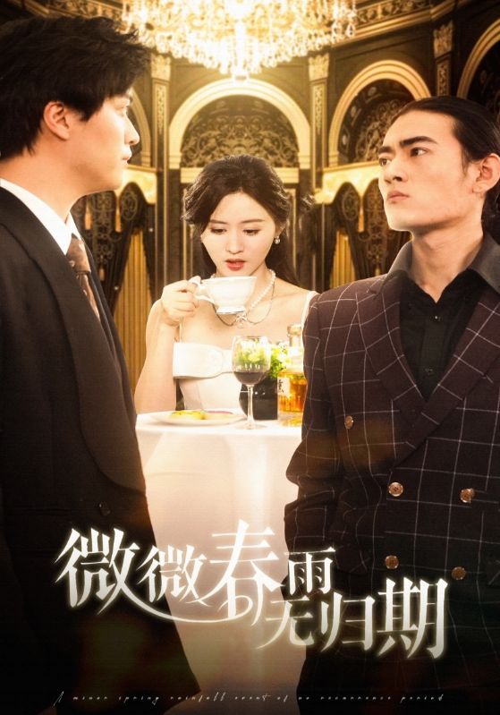 微微春雨无归期第34集