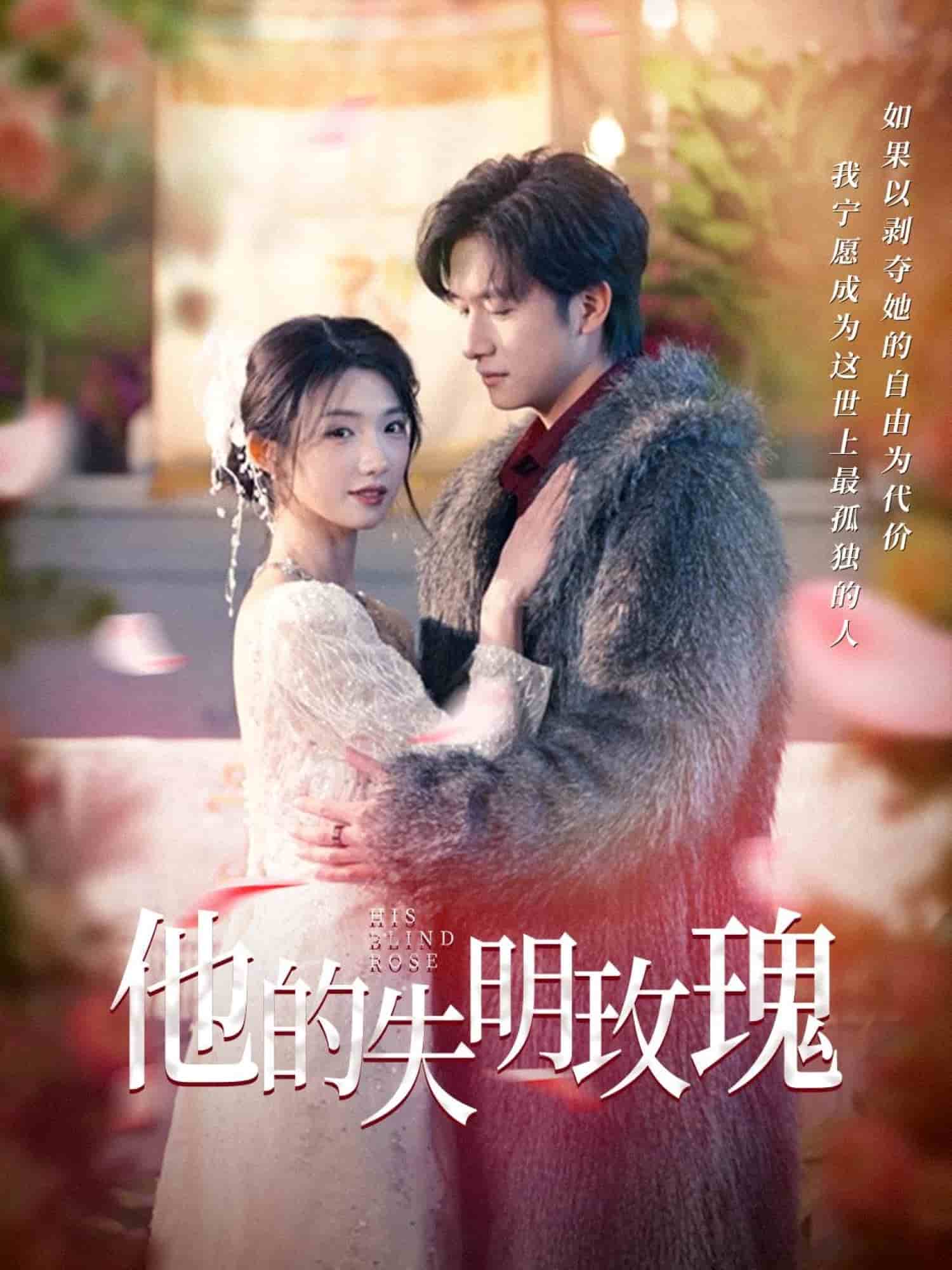 他的失明玫瑰第39集