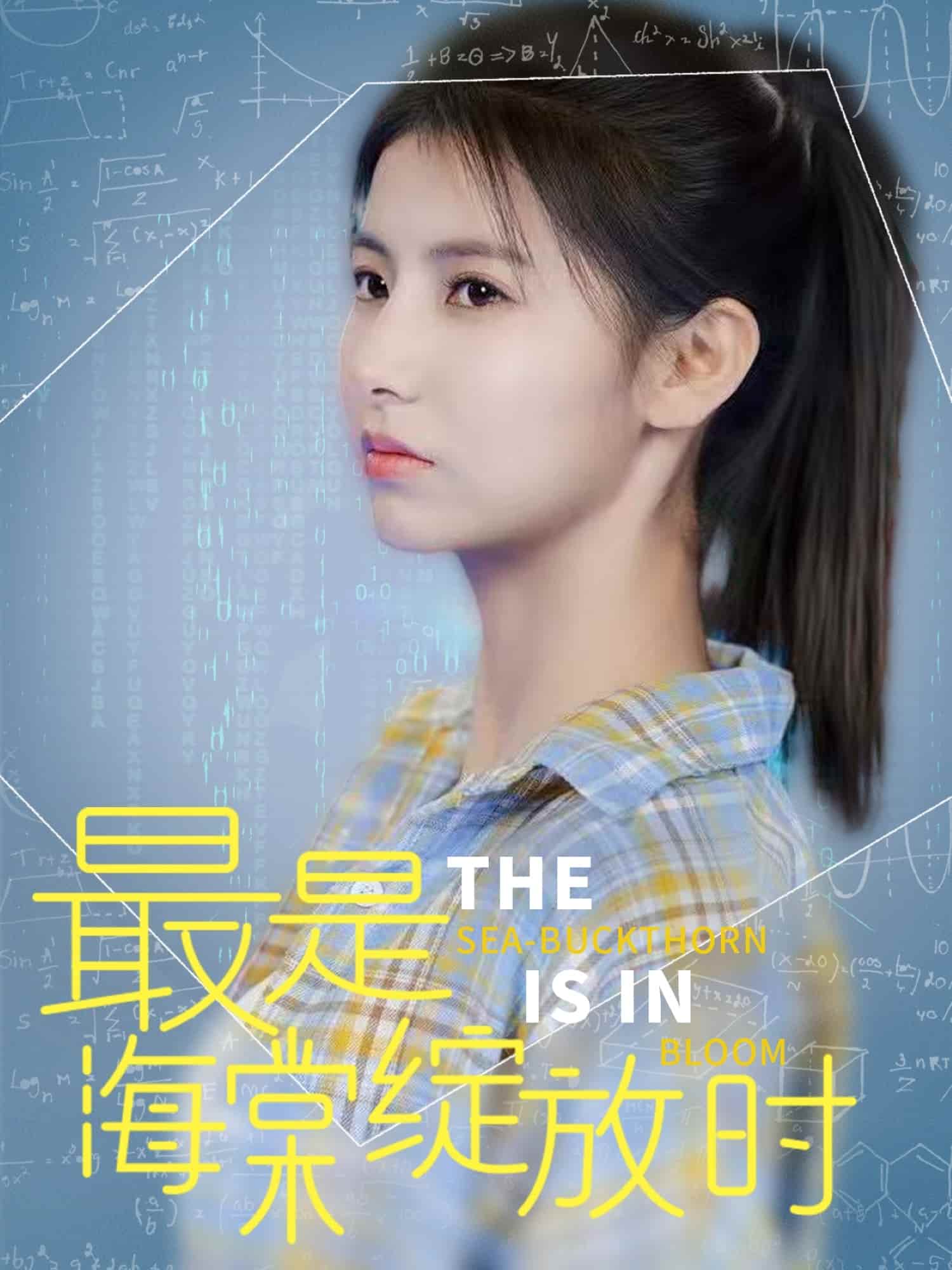 最是海棠绽放时第11集