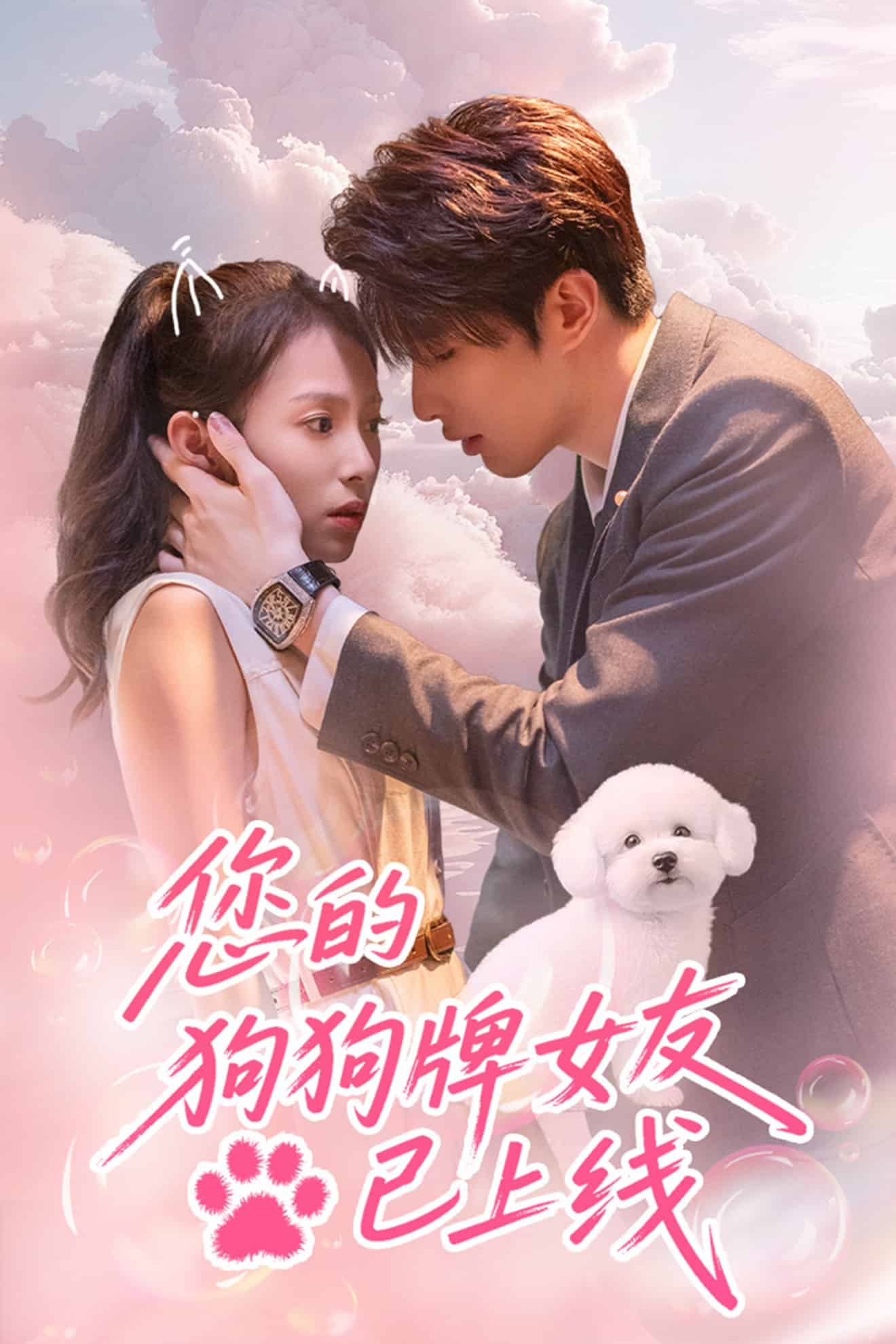 您的狗狗牌女友已上线第21集