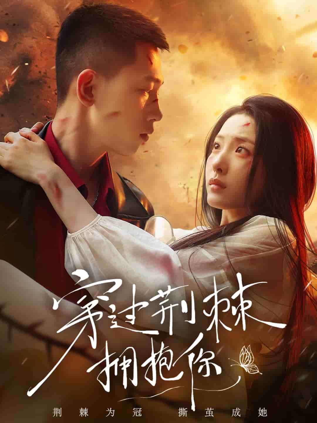 穿过荆棘拥抱你第118集