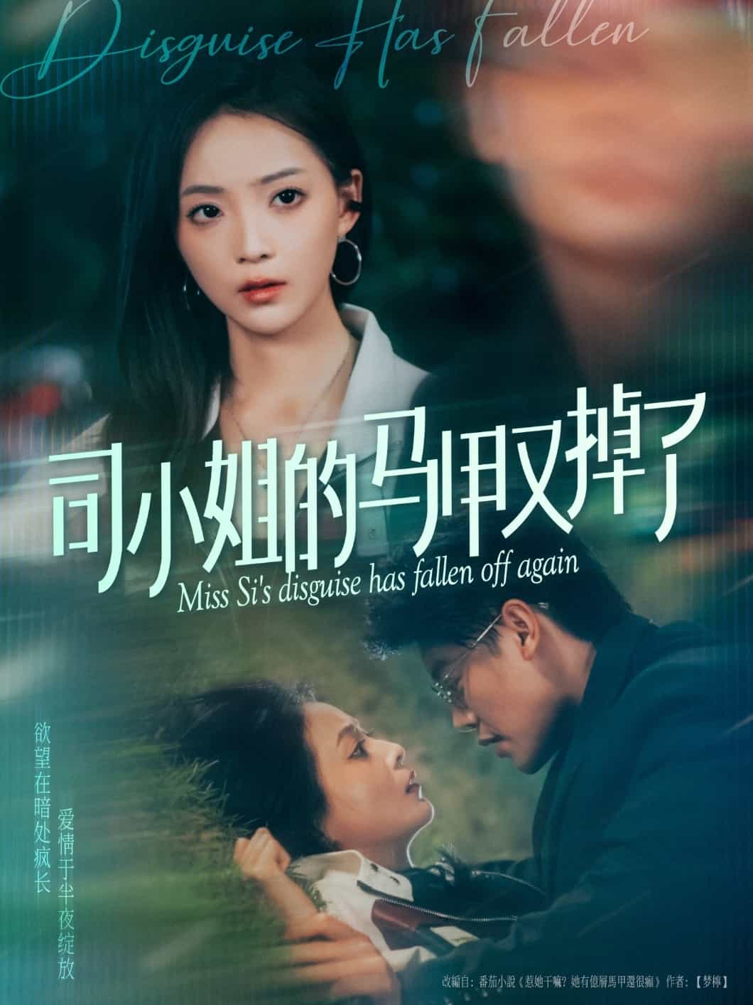 司小姐的马甲又掉了第38集