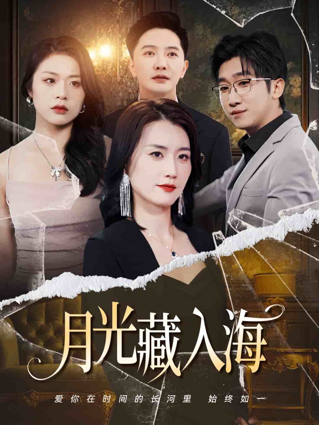 月光藏入海第21集