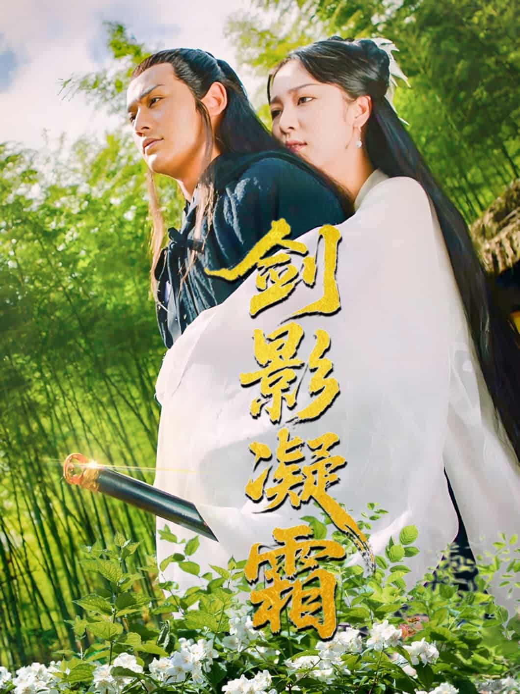 剑影凝霜第39集