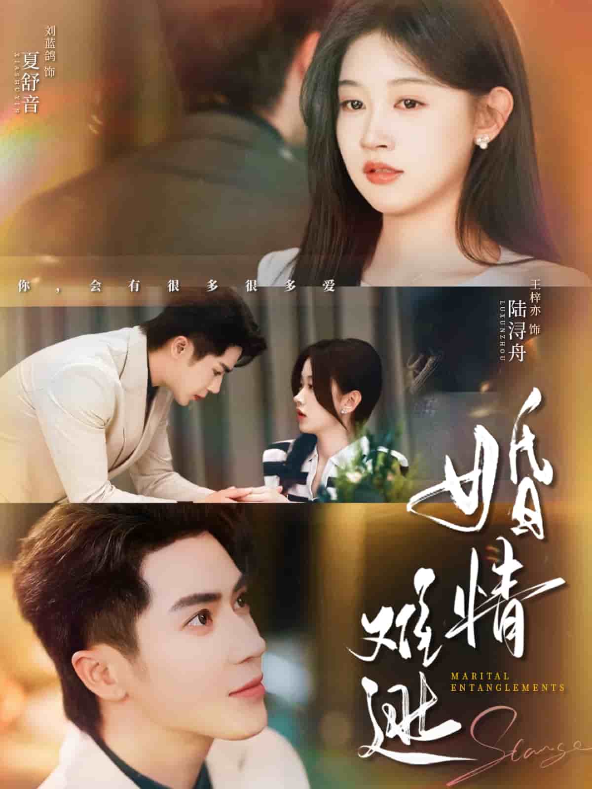 婚情难逃第14集